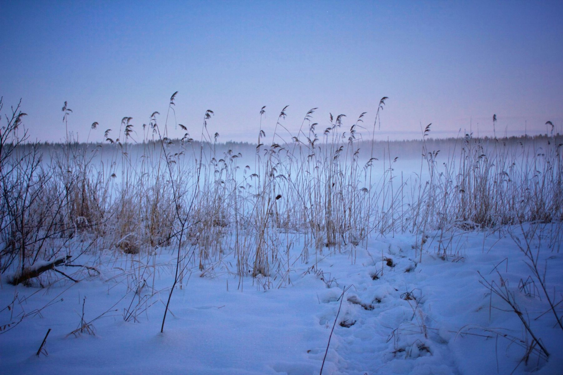 Winter