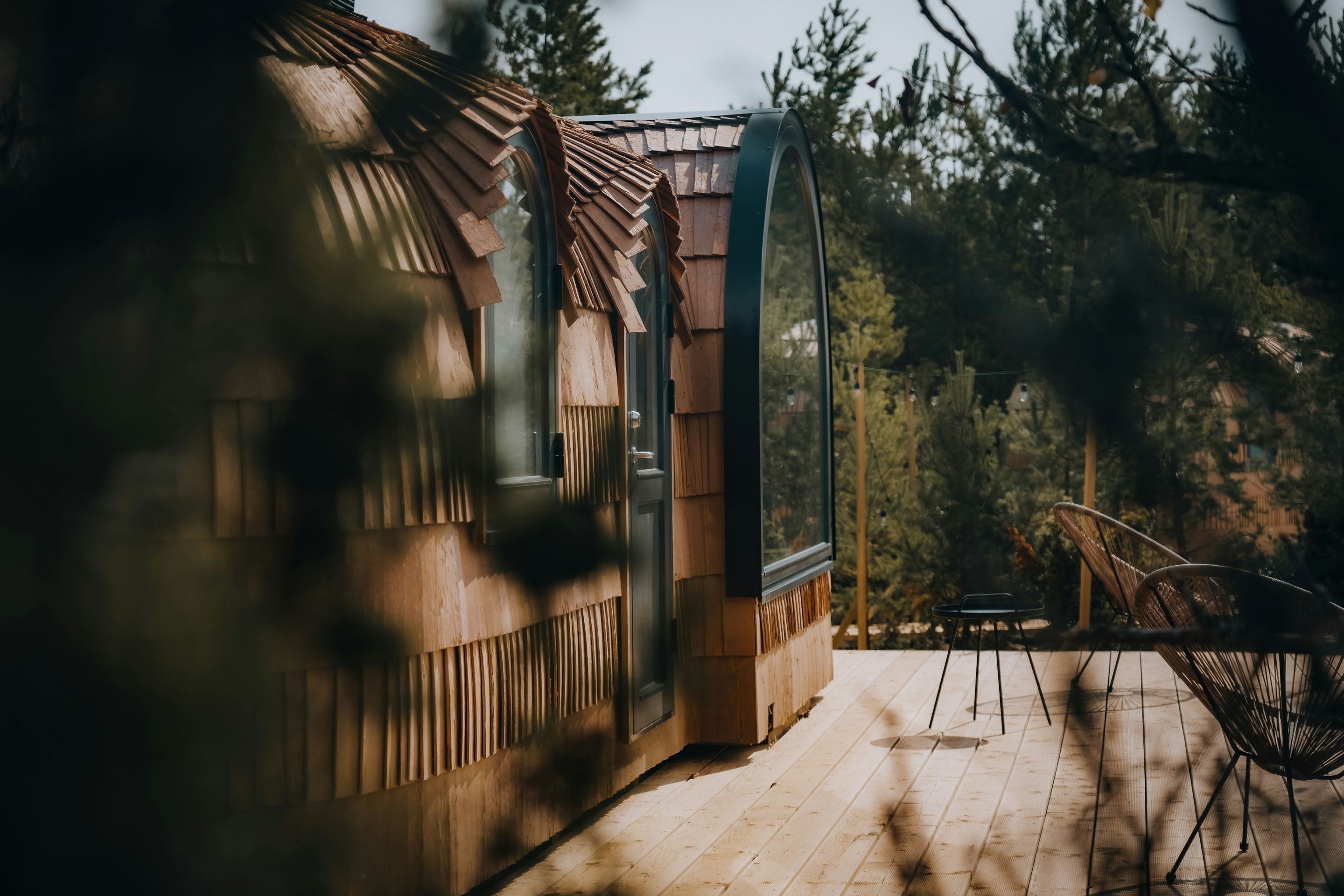 A deck among pines · Iglucraft