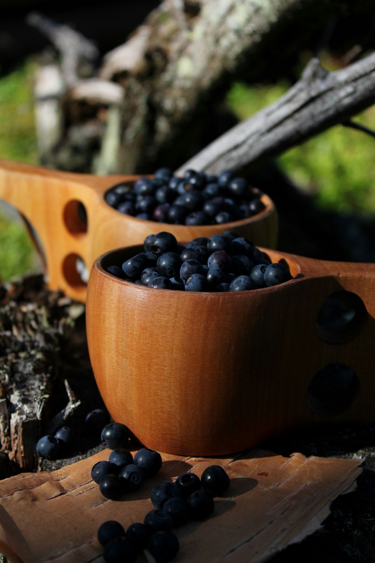 Blueberries · Anne Nygård