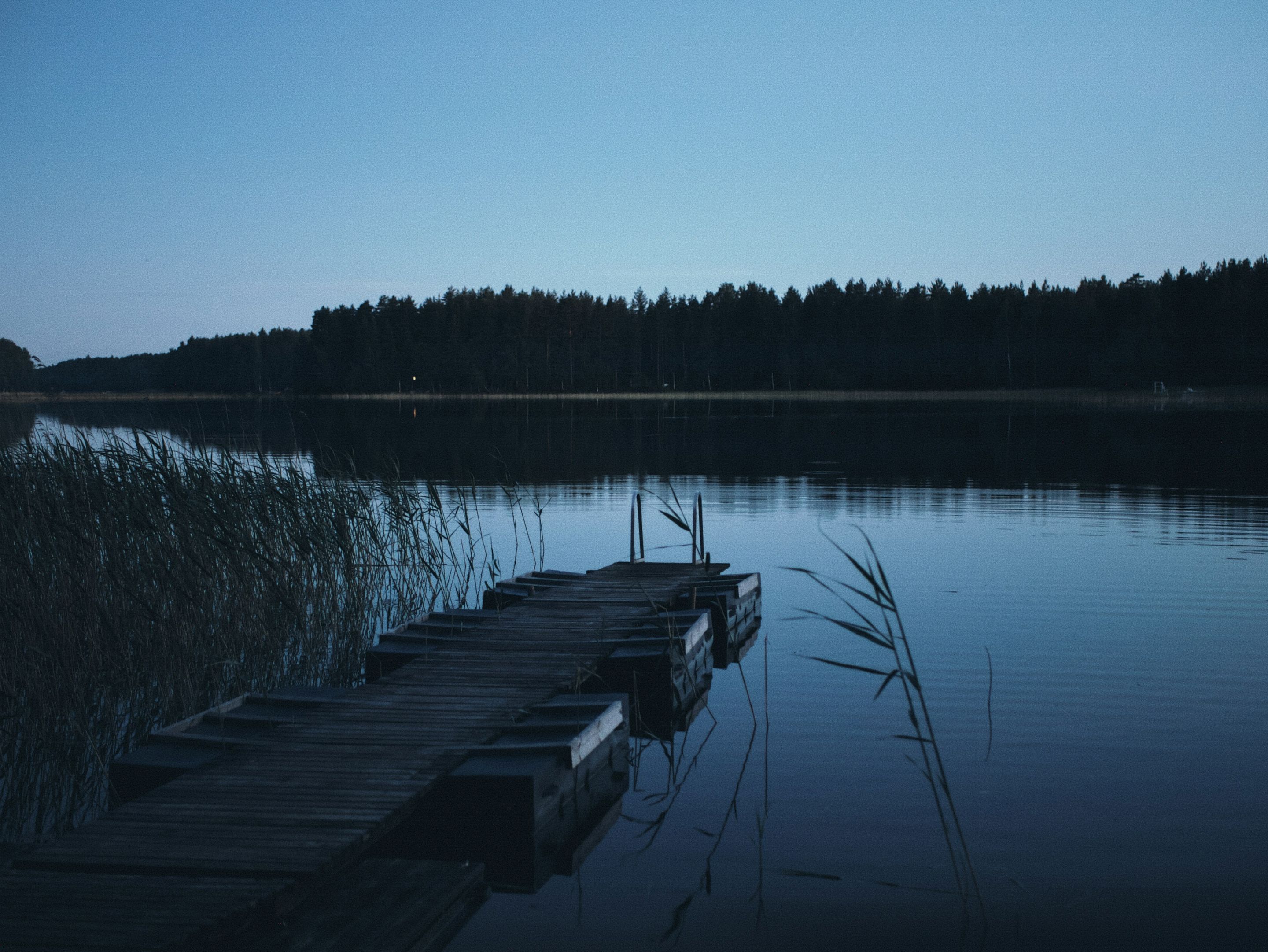 Mäntyharju, Finland · Eliot